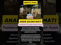 ANAK GAJAH TERTABRAK TRUCK#short #feedshort #gajah