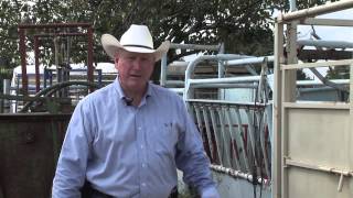 Ron Gill - BQA - Mixing Modified Live Vaccines