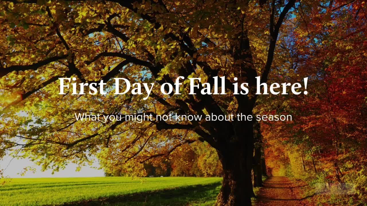 First day of fall is here: What you might not know about the season ...