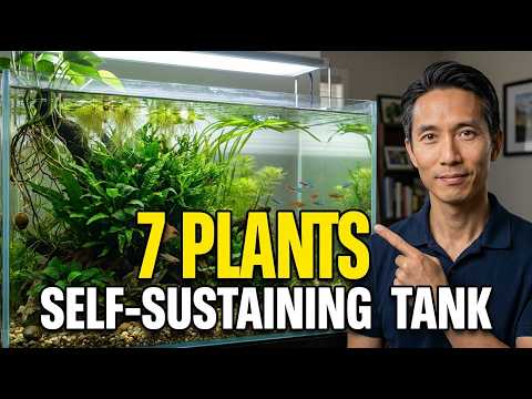7 Plants That Turn Your Aquarium Into a Self Sustaining Ecosystem