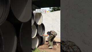 Cutest little innocent puppy inside the pipe || cutest puppy 🐶 || adorable little puppies || dogs