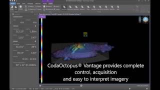 Coda Octopus Dimension®