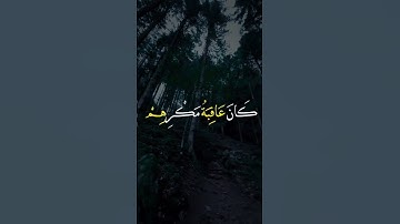 سورة النمل / القارئ الياس الحجري / تلاوة خاشعة تريح القلب