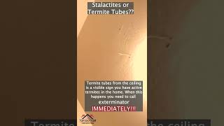 StalactitesOrTermites