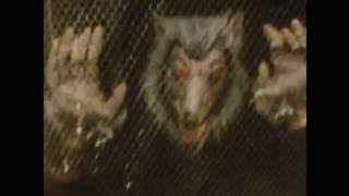 Video thumbnail of "The Murlocs - Wolf Creep"