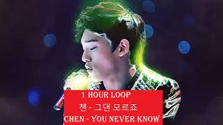 1 Hour Loop 첸 - 그댄 모르죠 Chen - You Never Know