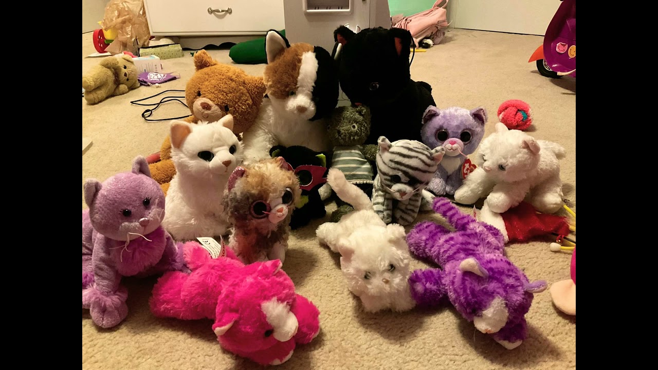 I’m a kitty cat song - YouTube