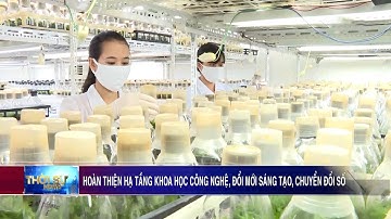 Hoàn thiện hạ tầng khoa học công nghệ, đổi mới sáng tạo, chuyển đổi số