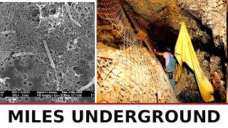 Why the World’s Deepest Gold Mine is Chasing a Sound