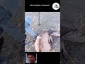 鹿の恩返し、家族紹介 | panda情報局