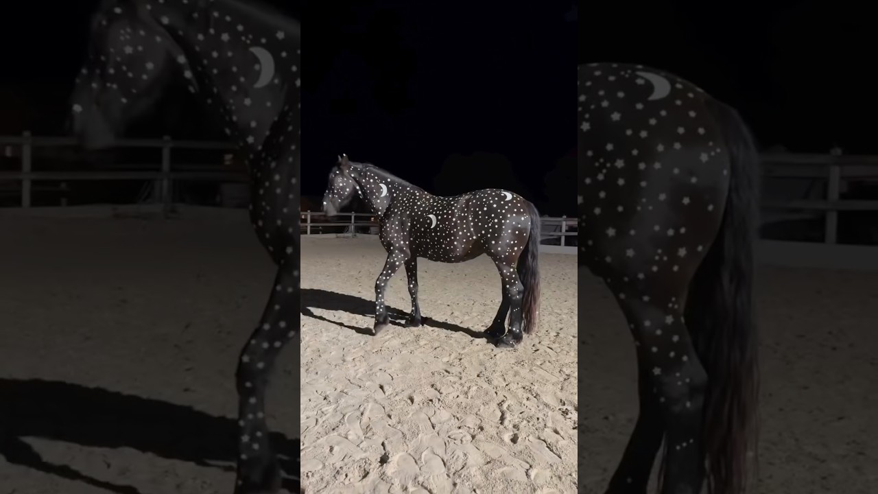 How To SAFELY Bedoozle Your Horse #goodtoknow #vet #medicine #educational #funfacts #survival #hacks