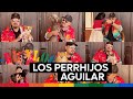 Pepe Aguilar - El Vlog 260 - Los Perrhijos Aguilar