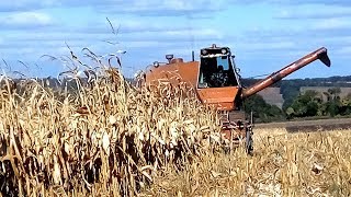 Нива СК-5. Уборка кукурузы по весенней дисковке. Евралис "Конгресс" #СельхозТехника ТВ