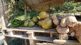 Picking the World’s MEANEST Fruit! Boom Yam & Butter w/Saltfish | Vlog #15 screenshot 5