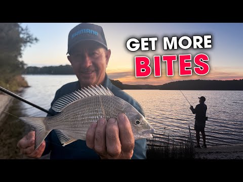 The KEY to Getting More Bites = MORE FISH!