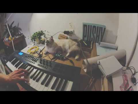 pisound & Pure Data