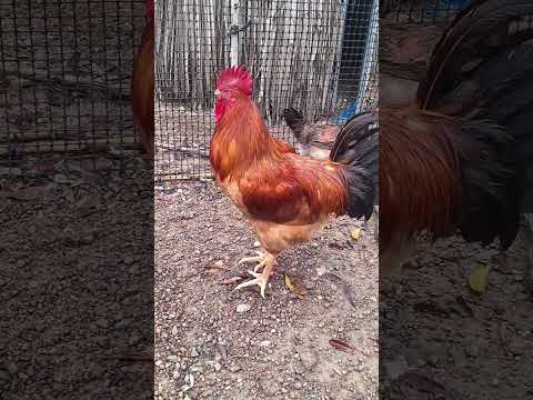 Music Topgamedoithuonguytin Nhachaymoingay Khampha Nhungsuthatthuvi Xuhuongyoutube