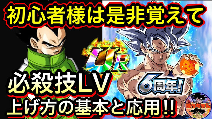 ドッカンバトル 463 初心者様にオススメ 必殺技レベルの上げ方の基本と応用を解説 Dragon Ball Z Dokkan Battle Youtube