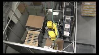 Robotic Case Packers & Palletizers