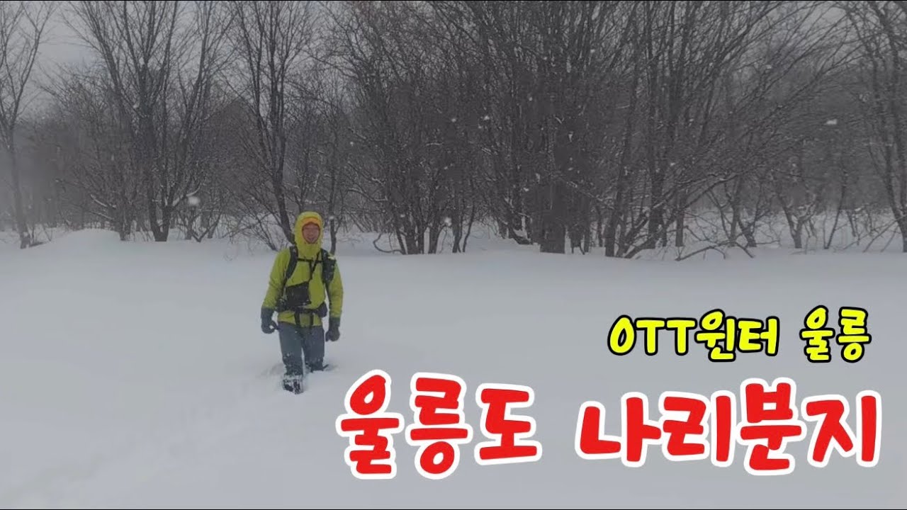 울릉도 나리분지 (OTT윈터 울릉)