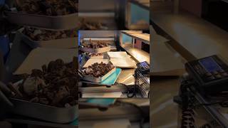 BROWNIE SENSATION PREVIEW!  #SHORTS #EATINGCHALLENGE #icecream