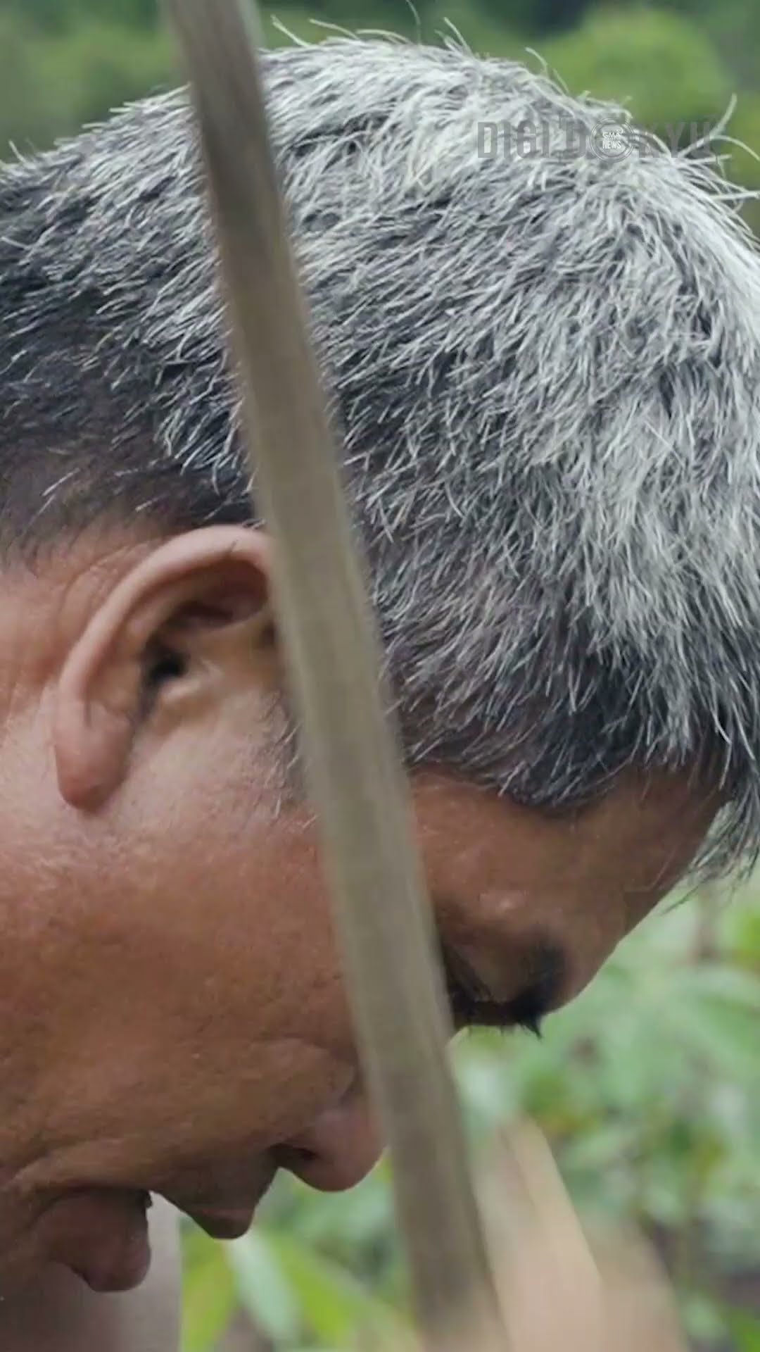 Illegal logger noon, nagtatanim na ng puno ngayon! | DigiDokyu