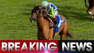 Paladin Dominates Remsen Stakes  2026 Kentucky Derby Contender Emerges। SportsPulse Network