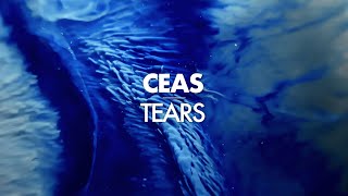 Ceas - Tears (Original mix)