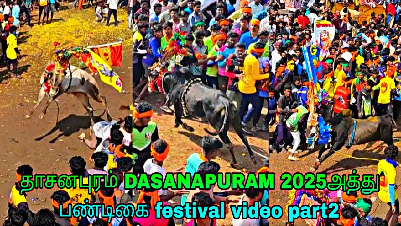 தாசனபுரம் DASANAPURAM 2025அத்து பண்டிகை festival video part2 @bulletrani8271