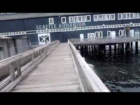Seattle, WA (Day 4) Aquarium, Travel & Alexis Hote...