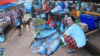 ตลาดเมืองหนองบก สปป.ลาว (2019)
