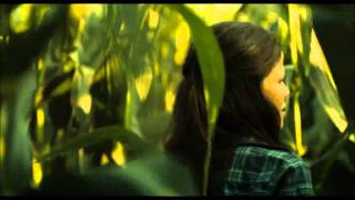 Шелуха (HUSK) After Dark Originals Шелуха (HUSK) After Dark Originals