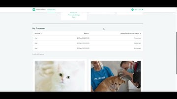PawConnect By Brain Hackers | OutSystems Built for the Future Hackathon 2025