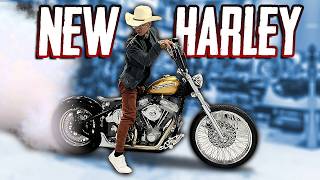 The Truth About My Harley (NOT Keeping It) - YouTube