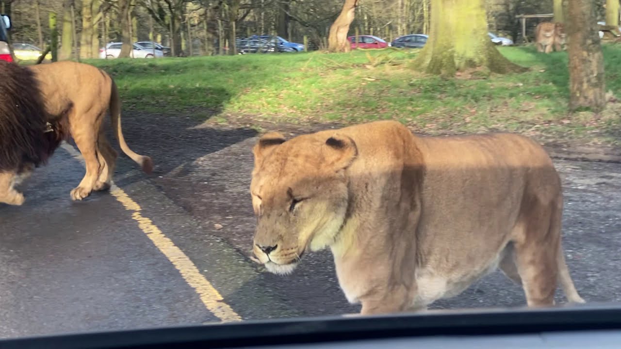 how far is knowsley safari park from liverpool