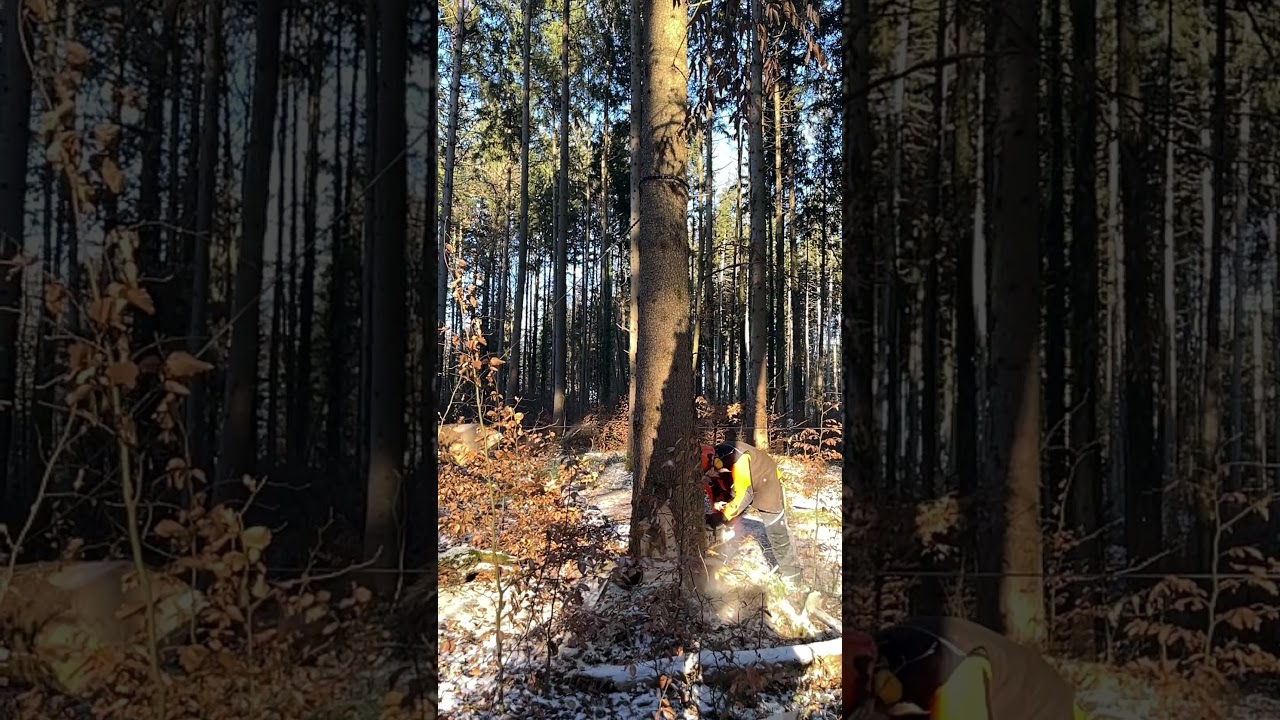 Der letzte dieses Jahr.  