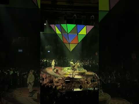 痛痛快快活活去￼ | Pandora | Bloom Live 2025
