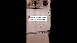 Thumbnail for Deadly hospital mould at RPA Hospital linked to spores from construction site