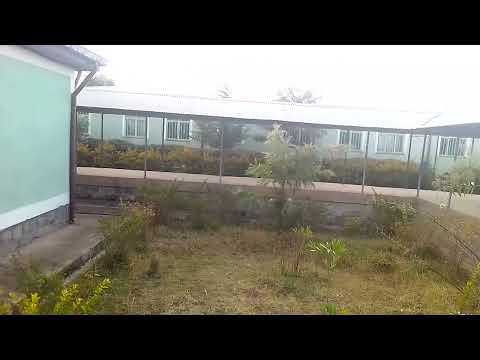 Hospitaala Balee Gasgaar