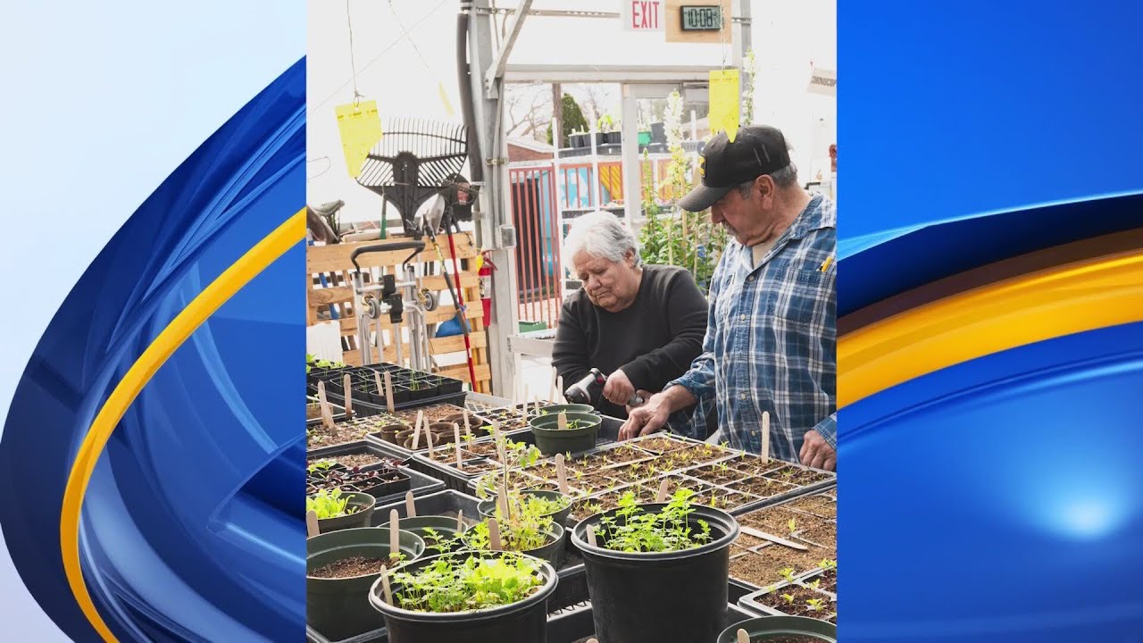 Cornucopia adult and family services launching plant shop YouTube