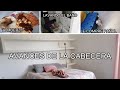 ✅LES MUESTRO LOS AVANCES DE LA CABECERA👍/LE COMPRE PAÑAL A PANA🤩/NUESTRO ALMUERZO😋/Alin VM👩🏻