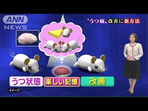 うつ症状改善 楽しい記憶 細胞に光あて刺激 15 06 18 Youtube