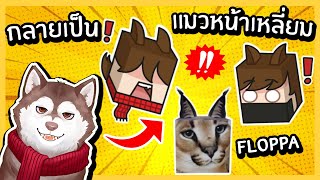 หมาสติแตกกลายเป็นแมวหน้าเหลี่ยม Floppa! นี่มัน Frankpa! 🐾