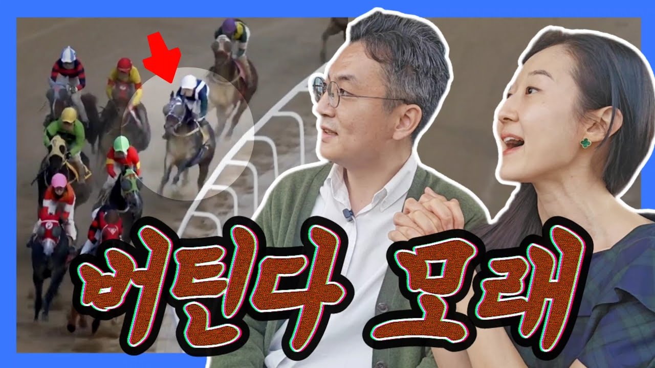 이건 그동안 이 경주마에게서 한 번도 볼 수 없었던 모습입니다. 벨록스보이의 열여섯번째 경주