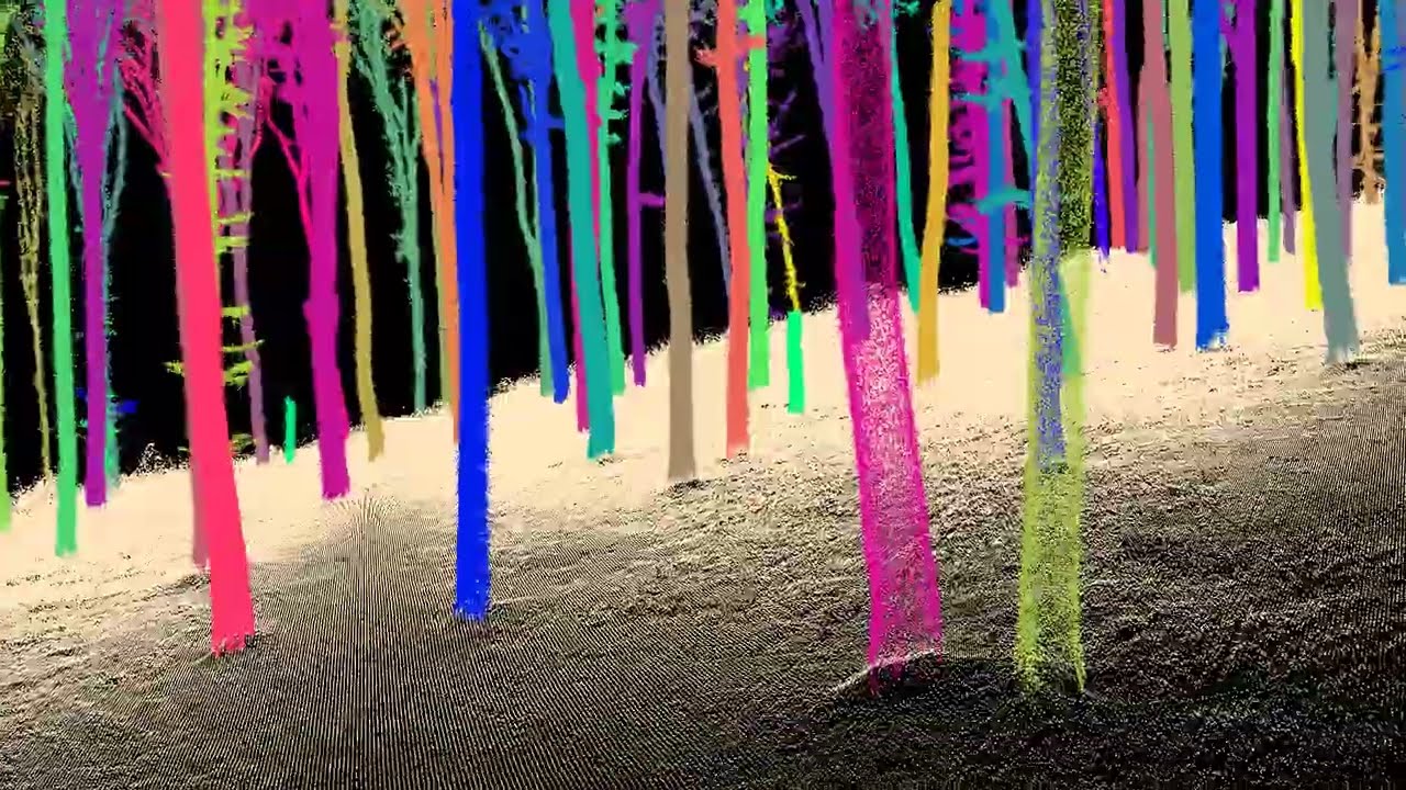 Stroll Through a 3D Lidar-Scanned Forest: An Immersive Experience