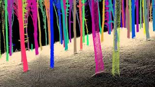 Stroll Through a 3D Lidar-Scanned Forest: An Immersive Experience screenshot 4