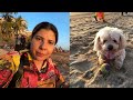 BHOLA DAAKU aur uski MAA at the beach!