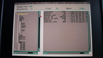 Amiga Video Backup System - Part 3 - File and Hard Disk Backup and Restore