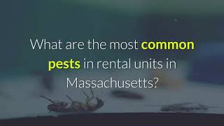 Pest Control for Massachusetts Rental Properties