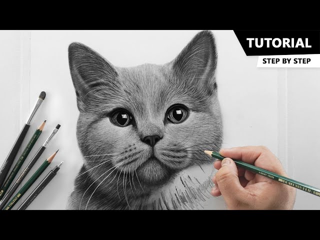 How to draw A Simple Cat step by step - Drawing Photos